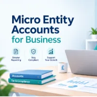 Profile picture of Micro Entity Accounts